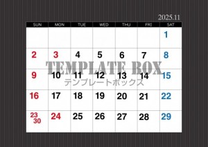 ２０２５年１１月…