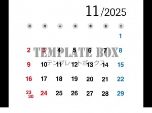 ２０２５年１１月…