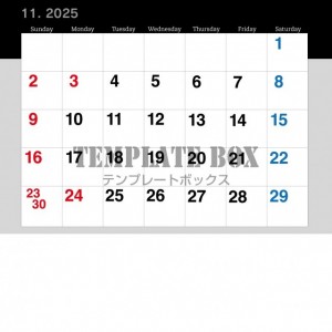２０２５年１１月…