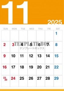 ２０２５年１１月…