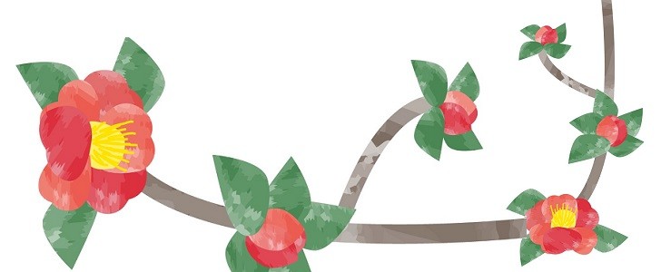 2月の花のデザイン 山茶花の花かわいいイラスト 配布物 お便り お店のpop Jpg Png Pdf 無料テンプレート Templatebox