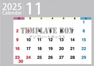 ２０２５年１１月…