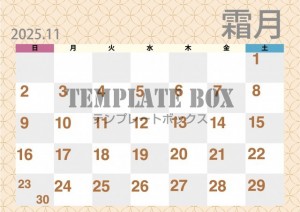 ２０２５年１１月…