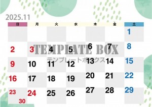 ２０２５年１１月…