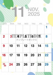 ２０２５年１１月…