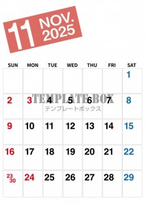 ２０２５年１１月…