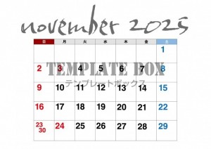 ２０２５年１１月…