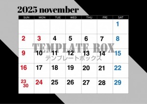 ２０２５年１１月…