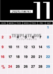 ２０２５年１１月…