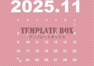 ２０２５年１１月…