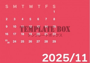２０２５年１１月…