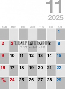 ２０２５年１１月…