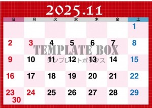 ２０２５年１１月…