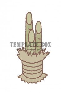 新年のワンポイン…