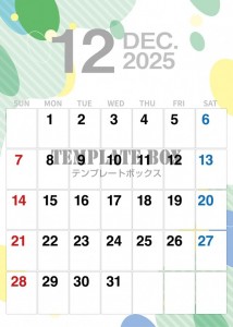 ２０２５年１２月…