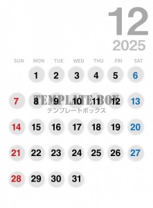 ２０２５年１２月…