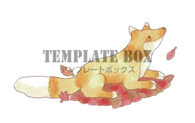 紅葉した葉っぱと狐の秋らしいワンポイントイラスト
