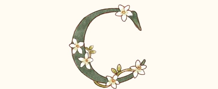 C｜イニシャル｜アルファベット｜無料イラスト素材｜無料｜ダウンロード