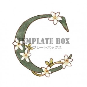 お花がかわいいイ…