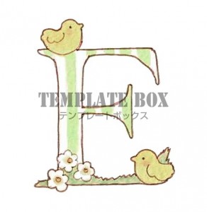 ひよことお花がか…