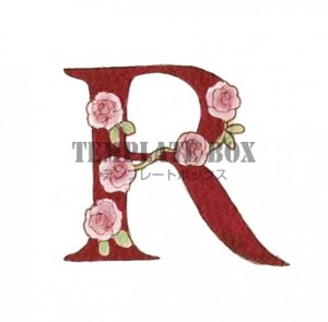 薔薇の花がかわい…