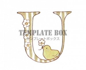 ひよこと花がかわ…