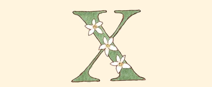 花｜イニシャル｜アルファベット｜X｜無料イラスト素材｜無料｜ダウンロード