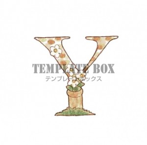 鉢に入ったお花が…