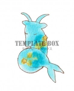 星座の山羊座の星…