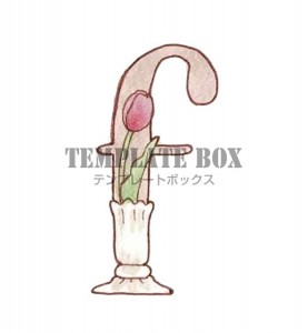 チューリップがか…