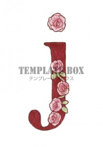 薔薇の花がかわい…