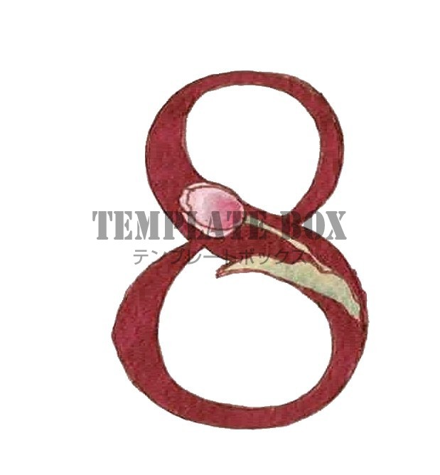 お花がかわいい数字の8のワンポイントイラスト