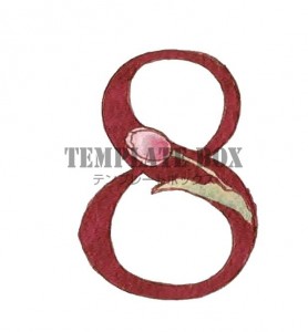 お花がかわいい数…