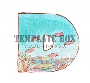 海モチーフのフォ…