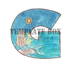 海モチーフのフォ…