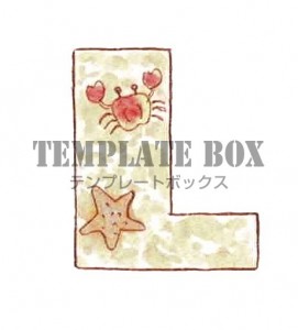 海モチーフのフォ…