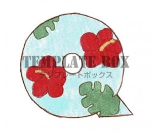 ハイビスカスとモ…