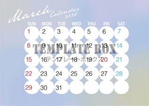 ２０２６年２月カ…