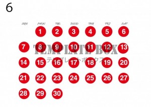 ２０２６年６月カ…