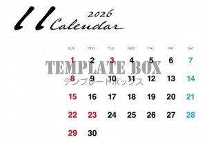 ２０２６年１１月…