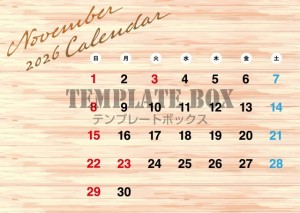 ２０２６年１１月…