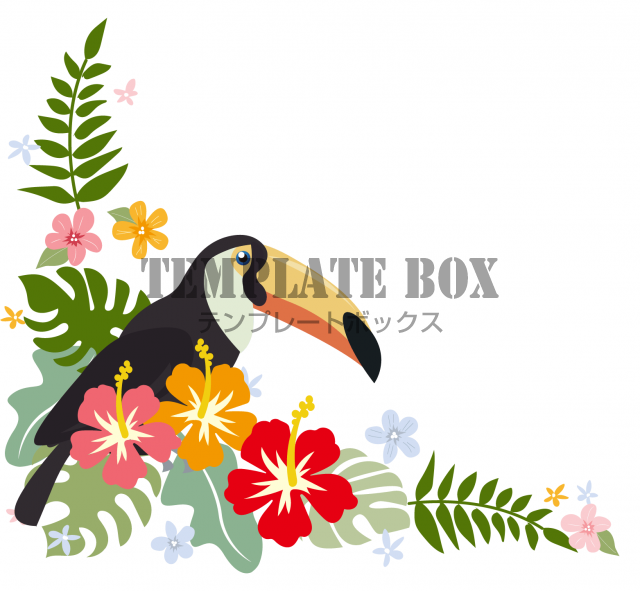 ハイビスカス モンステラと鳥のオオハシがイラストで描かれているオシャレで華やかなデザインのフリー素材 無料イラスト素材 Templatebox