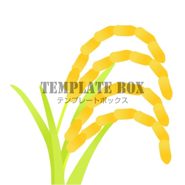 頭の垂れた稲穂 秋 米 稲穂 稲 収穫 10月シーズンのワンポイント 無料イラスト素材 Templatebox