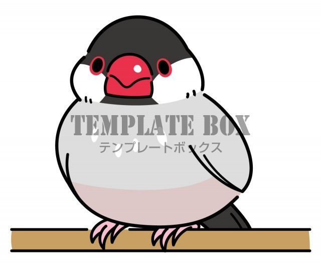 10月24日は文鳥の日 桜文鳥 小鳥 鳥 手乗り文鳥 ペット 文鳥の日に使えるかわいいワンポイントカット 無料イラスト素材 Templatebox