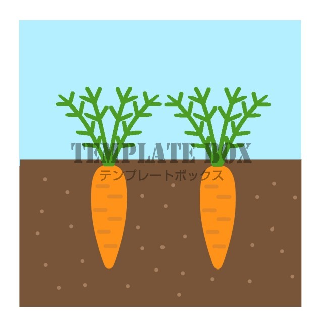 1月12日はいいにんじんの日イラスト 人参 野菜 農業 農業系のイラストに 無料イラスト素材 Templatebox