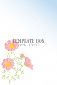 ピンク色のコスモ…｜無料テンプレート｜メッセージカード｜無料