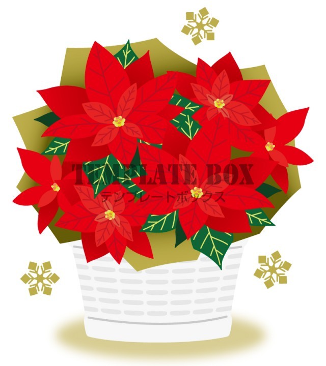 赤いポインセチアの鉢植え クリスマス 植物 12月 冬 赤 園芸 クリスマスに使えるワンポイントカット 無料イラスト素材 Templatebox