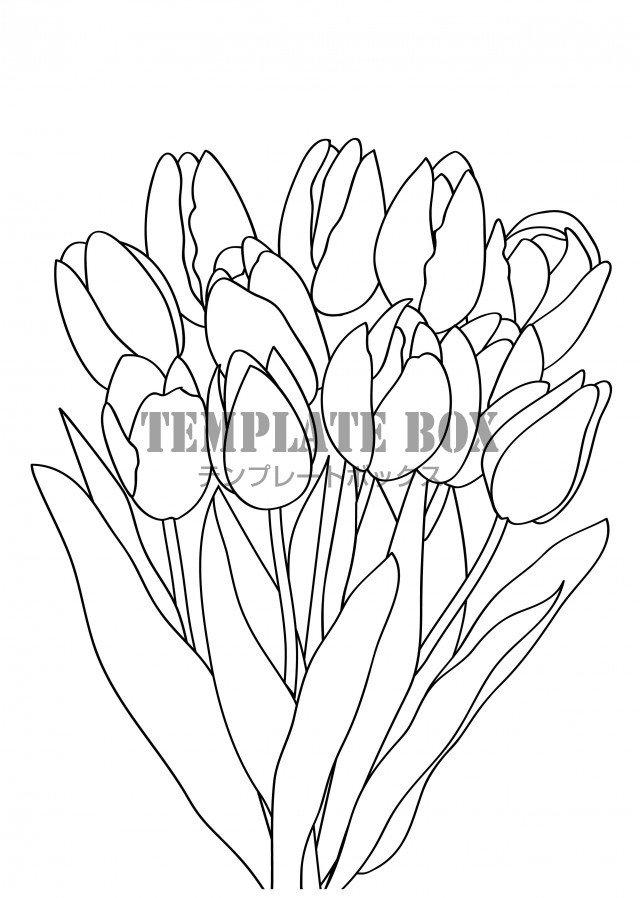 【塗り絵】チューリップの花束（JPG/PNG/PDF）春におすすめな花の塗り絵