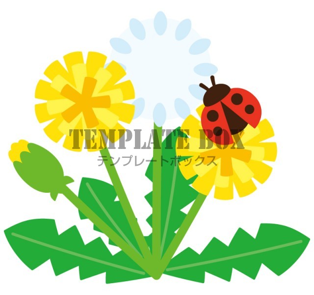 テントウムシとタンポポのイラスト たんぽぽ てんとうむし 春 野草 花 昆虫 虫 自然 植物 かわいい 春に使えるワンポイントカット 無料イラスト 素材 Templatebox
