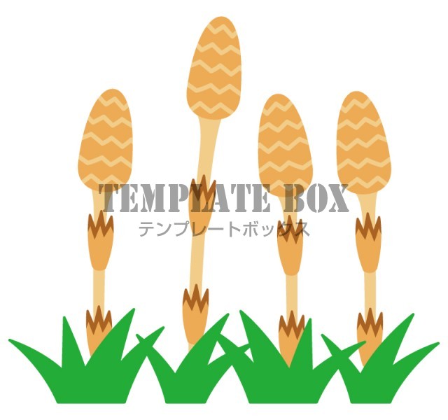並んで生えるつくしのイラスト 春 野草 つくしんぼ 植物 自然 土筆 春に使えるワンポイントカット 無料イラスト素材 Templatebox